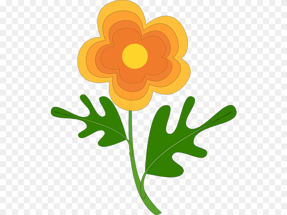 Flower Orange Color Nature Desenho De Flor Cor Laranja, Anemone, Daisy, Plant, Leaf Free Png