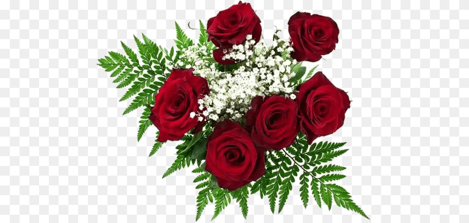 Flower Orders Center Stageacademy Red Roses For Day, Flower Arrangement, Flower Bouquet, Plant, Rose Free Transparent Png