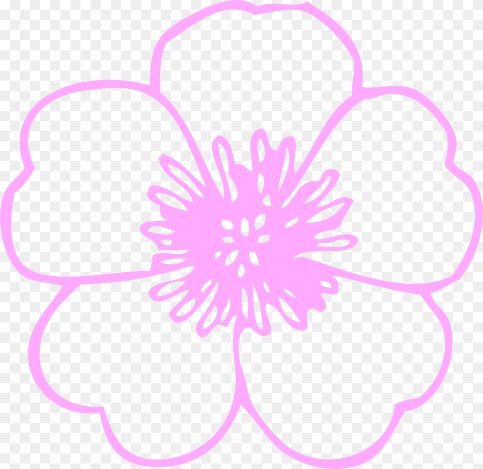 Flower Outline, Anemone, Anther, Dahlia, Petal Png Image