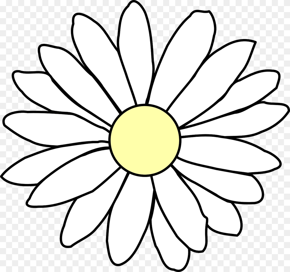 Flower Outline, Daisy, Plant, Petal, Anemone Free Transparent Png