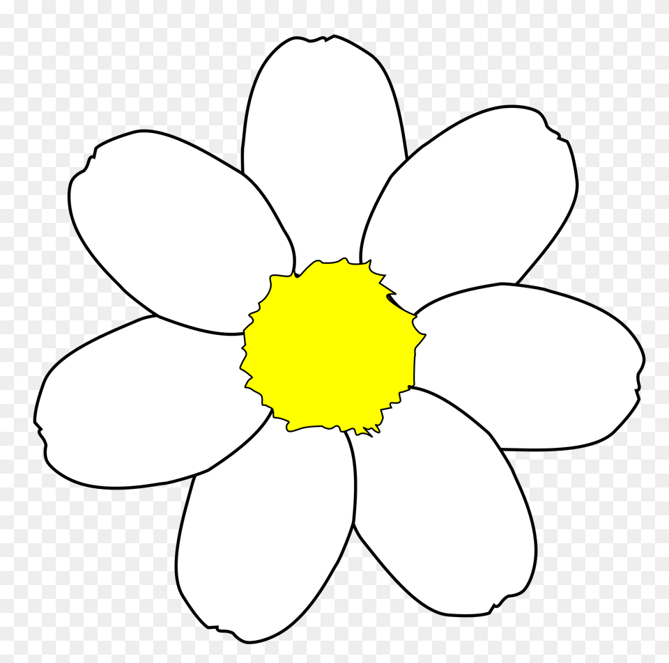 Flower Outline Clip Art Anemone, Daisy, Petal, Plant Free Png Download