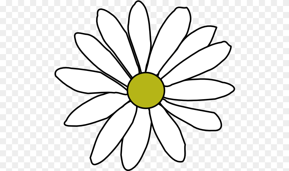 Flower Outline Clipart Clip Art, Daisy, Plant, Petal, Appliance Free Png Download