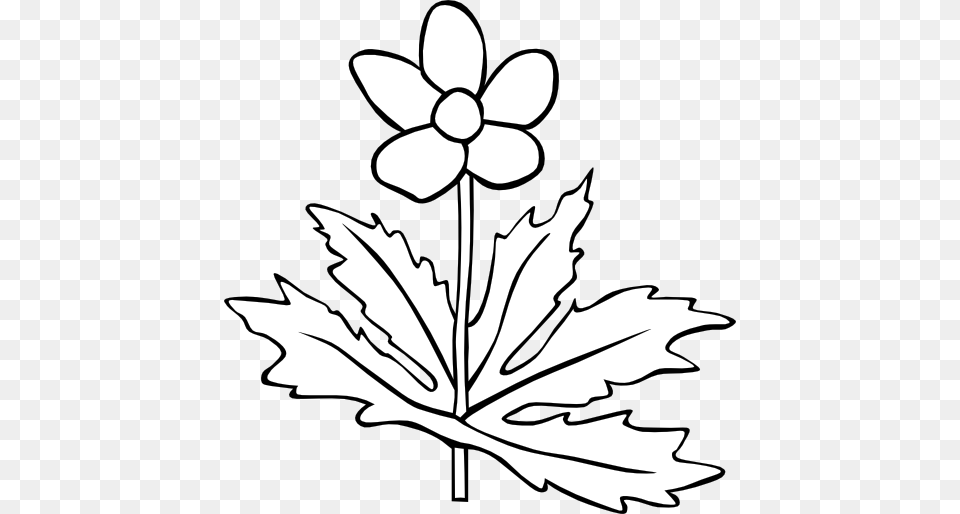 Flower Outline Vector Flower Outline, Anemone, Leaf, Plant, Stencil Free Transparent Png