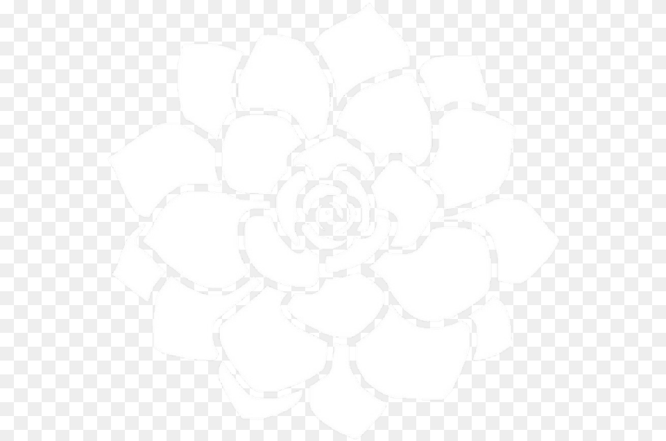 Flower Overlay Flower Overlay For Edits, Dahlia, Plant, Person Free Png Download