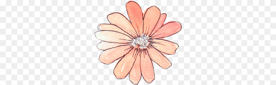 Flower Overlay Transparent For Sticker Flower Aesthetic, Daisy, Plant, Accessories, Jewelry Free Png