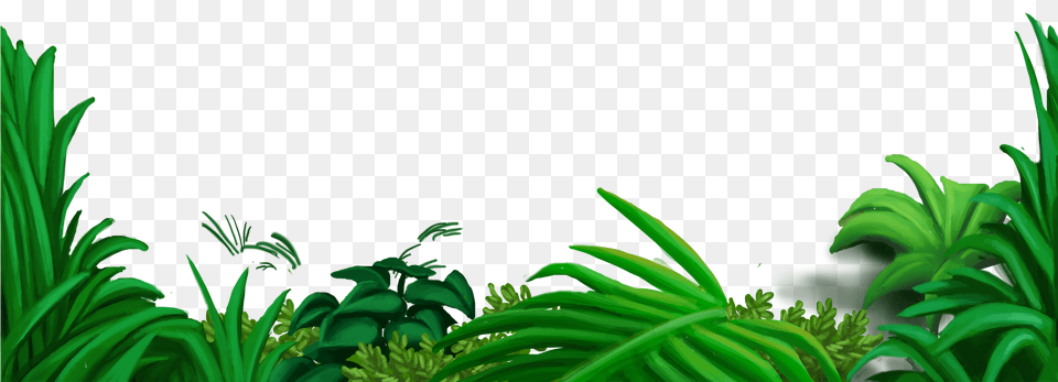 Flower Overlays Jungle Overlay, Green, Plant, Outdoors, Nature Png