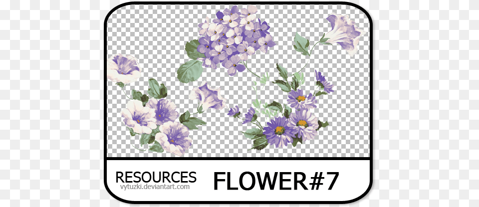 Flower Pack Flower Pack, Anemone, Plant, Pattern, Graphics Png Image