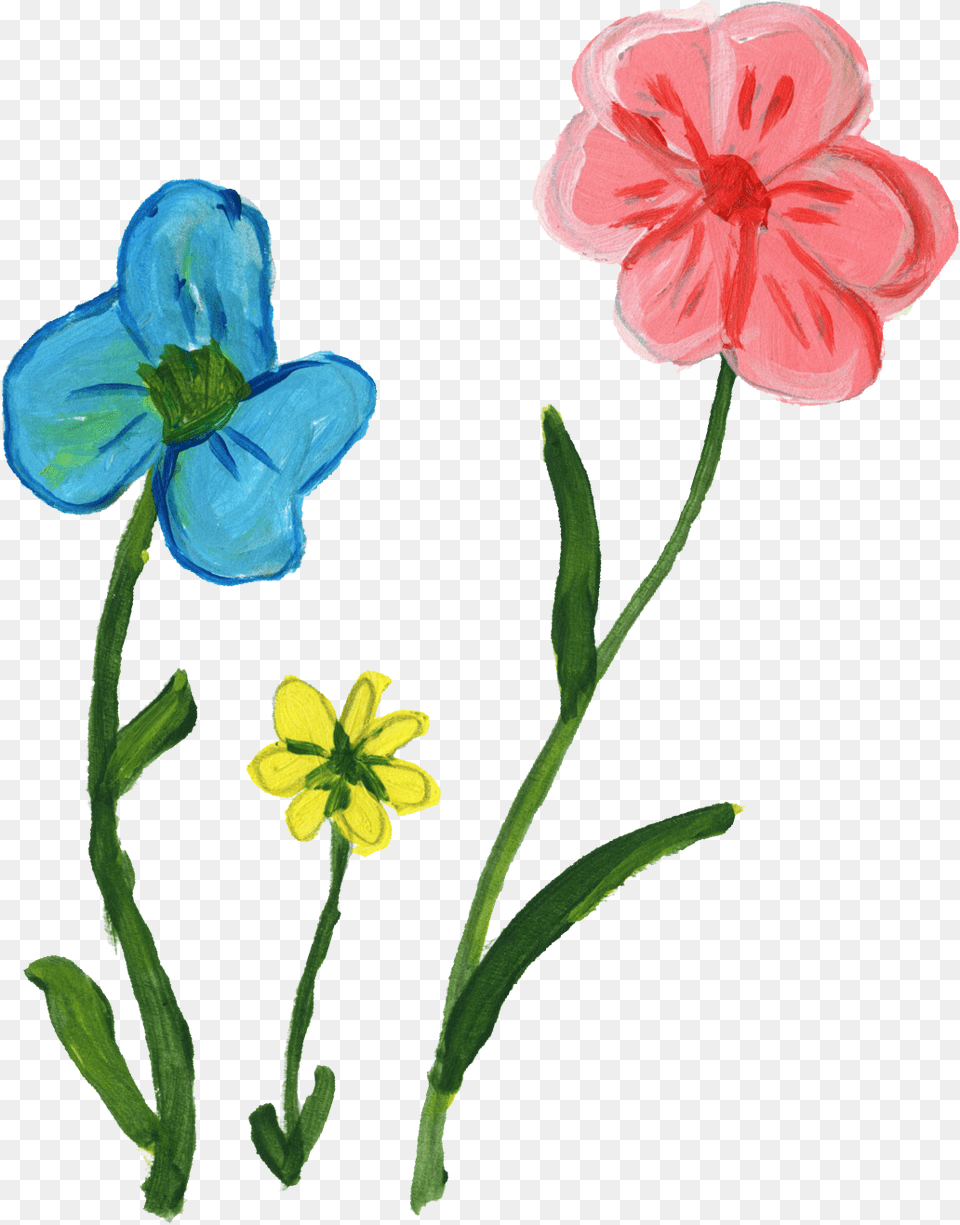 Flower Paint, Anemone, Anther, Geranium, Petal Free Png Download