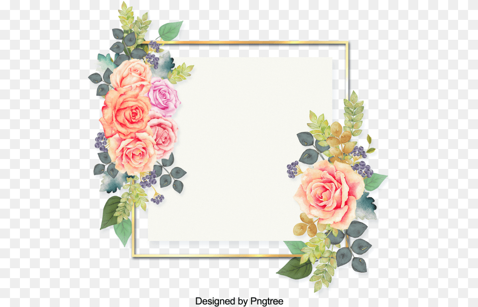Flower Painting Border, Plant, Rose, Art, Floral Design Png