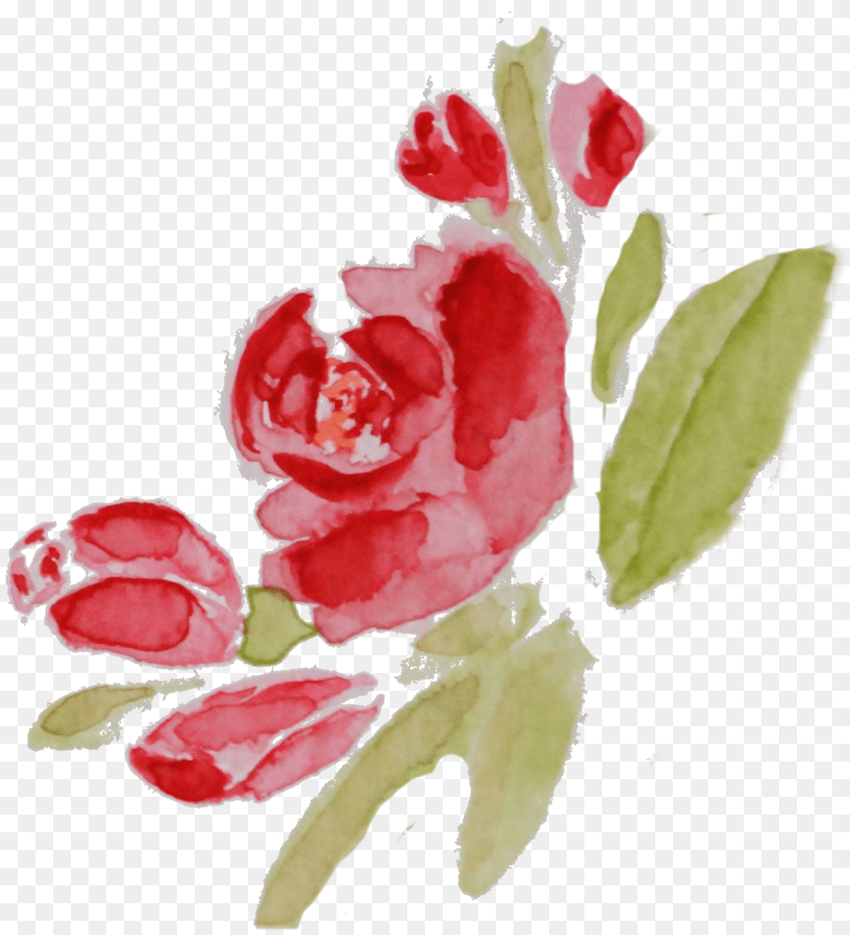 Flower Painting Photography Rose Transprent Rose Aquarelle, Petal, Plant, Pattern, Art Free Transparent Png