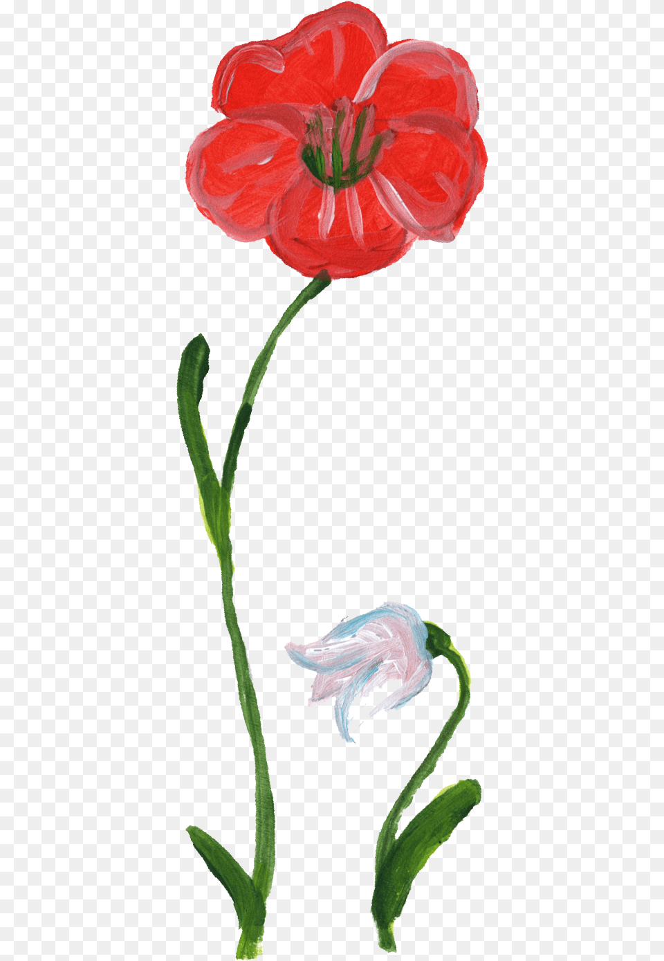 Flower Painting Red Flowers Painting Transparent, Plant, Rose, Poppy, Petal Free Png