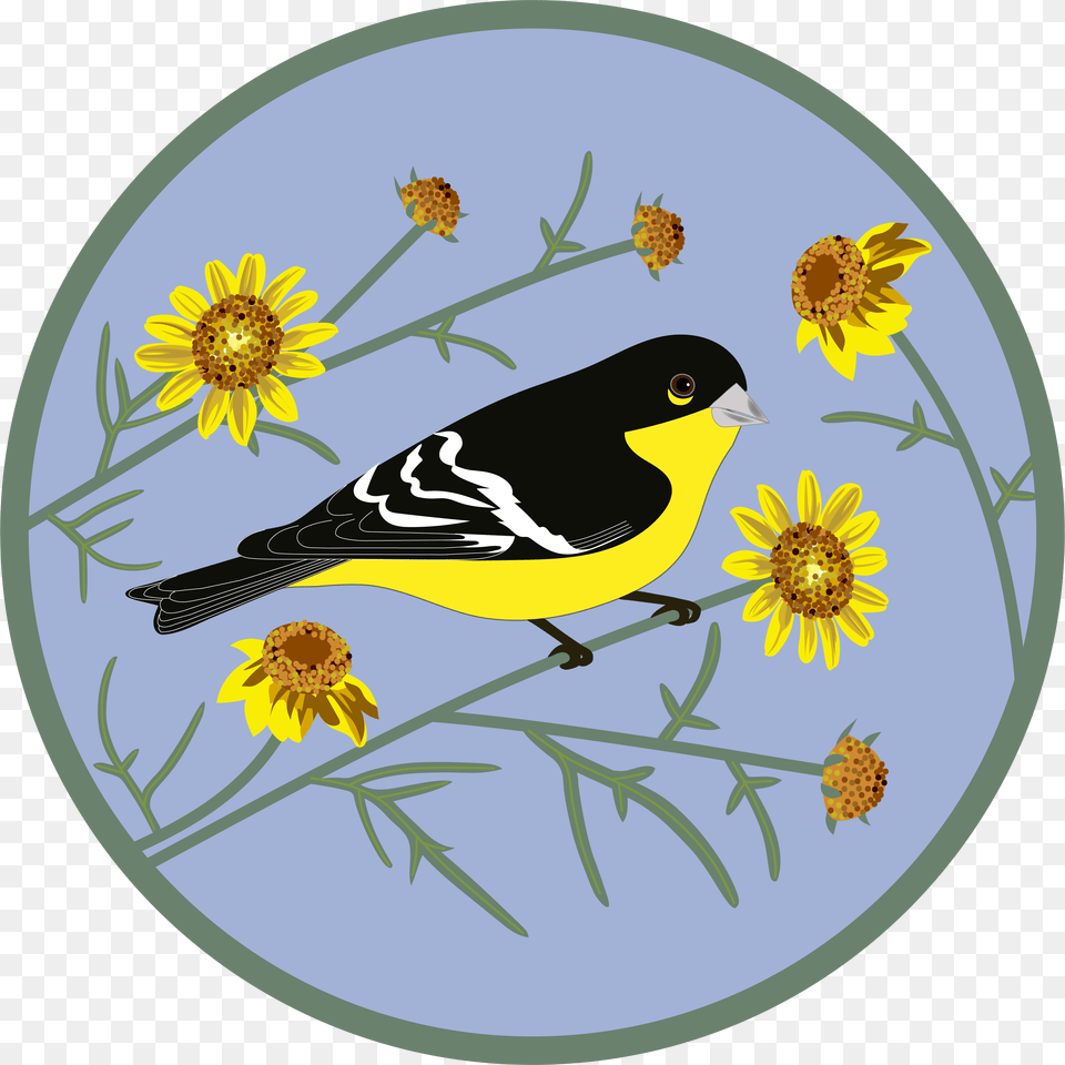 Flower Patch Download, Animal, Bird, Finch, Plant Free Transparent Png