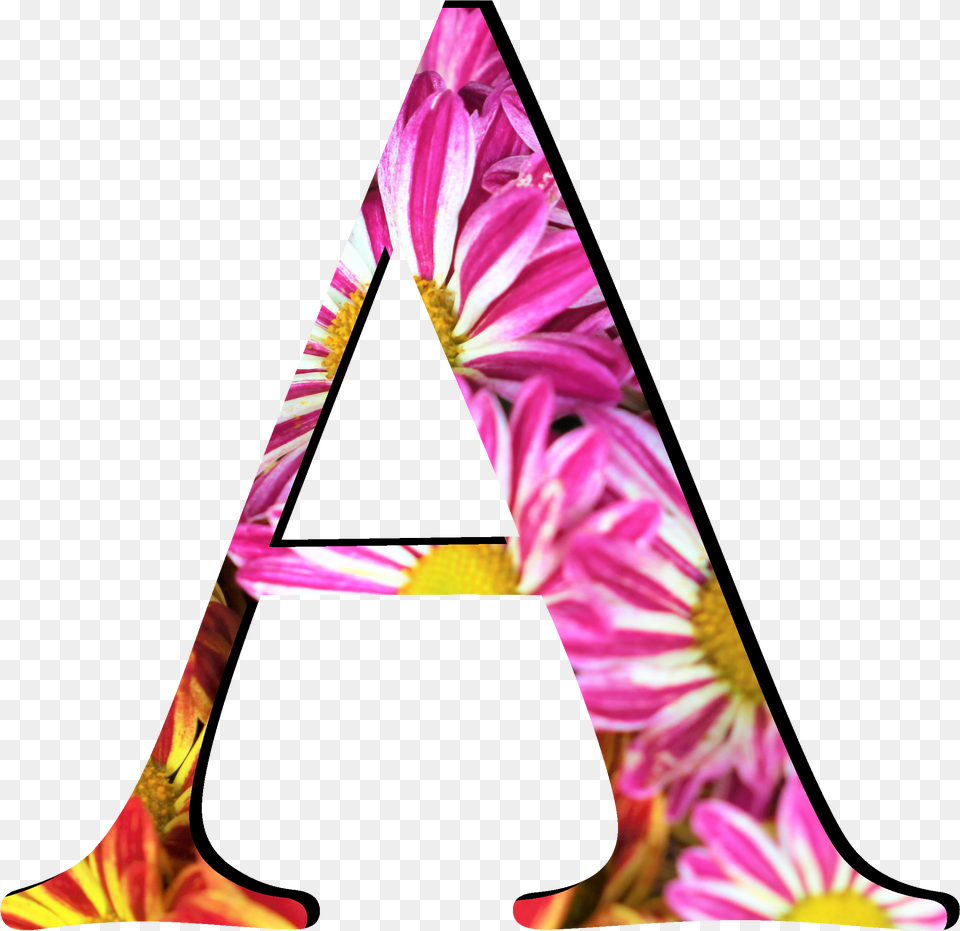 Flower Pattern Letters A, Triangle, Purple, Adult, Female Free Png