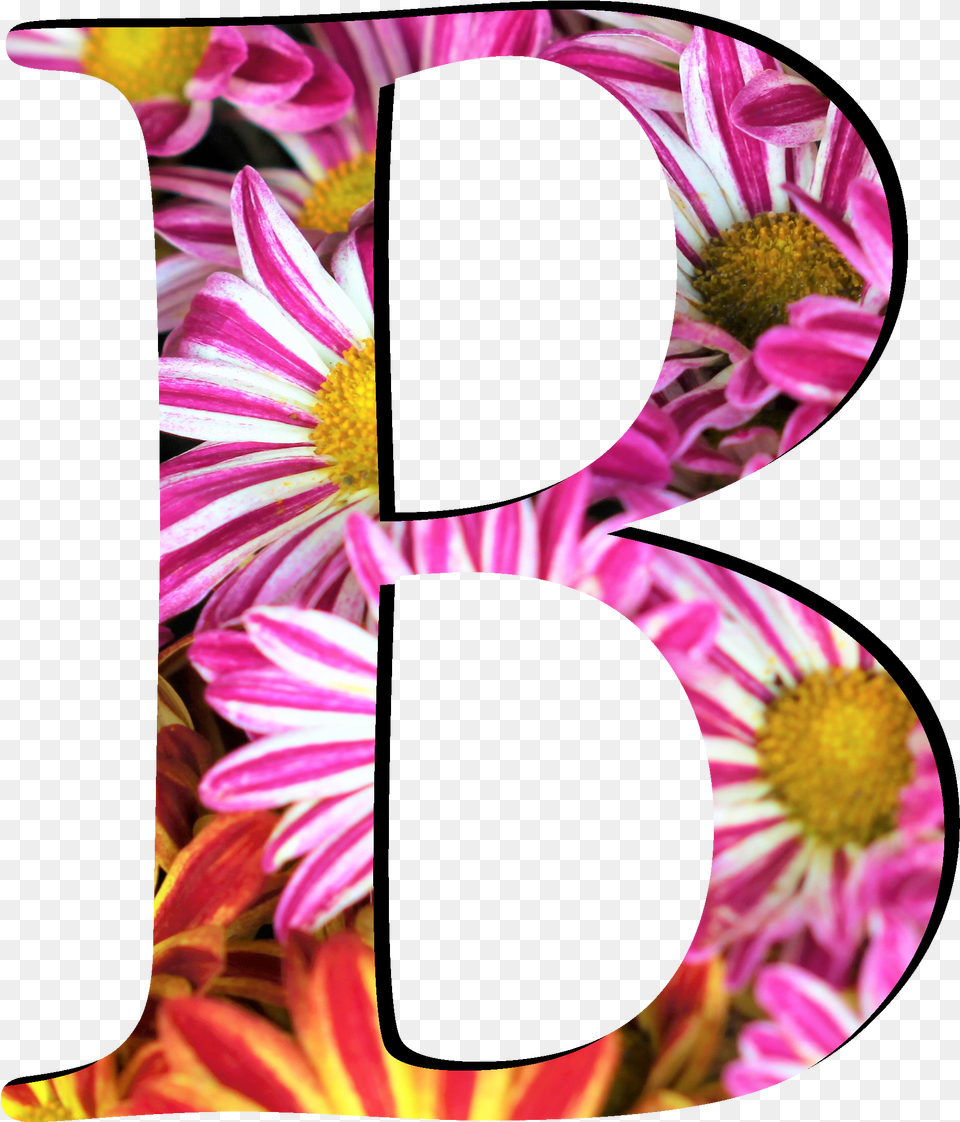 Flower Pattern Letters B Flower Pattern Letter B Free Png Download