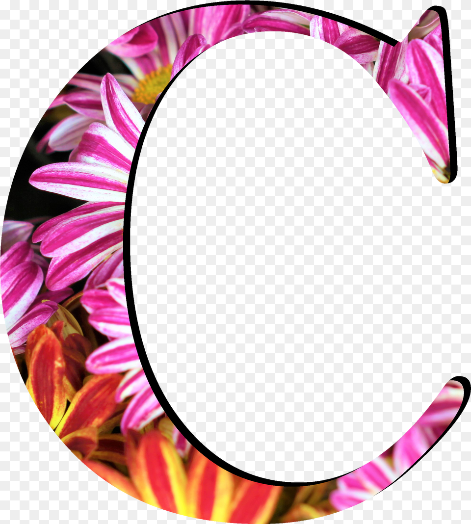 Flower Pattern Letters C Circle, Accessories, Plant, Dahlia, Petal Png