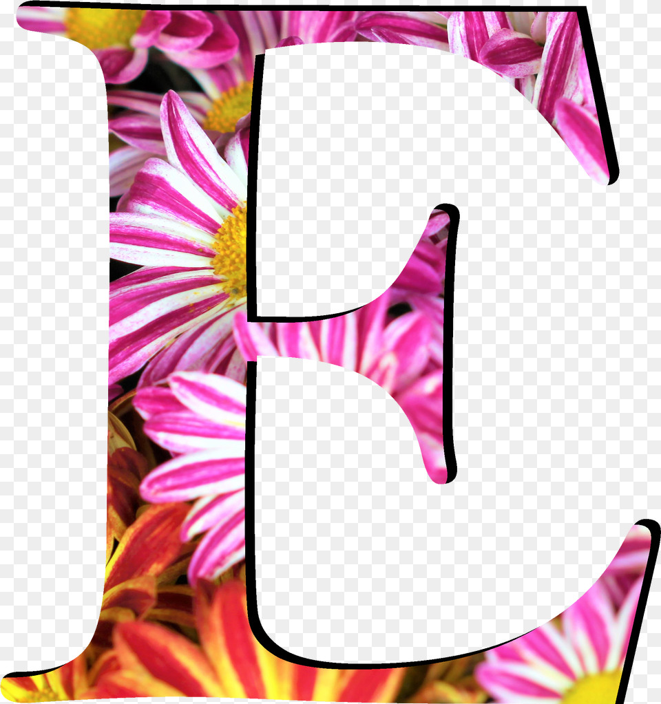 Flower Pattern Letters E Letters Flower Design, Daisy, Plant, Petal, Text Png Image