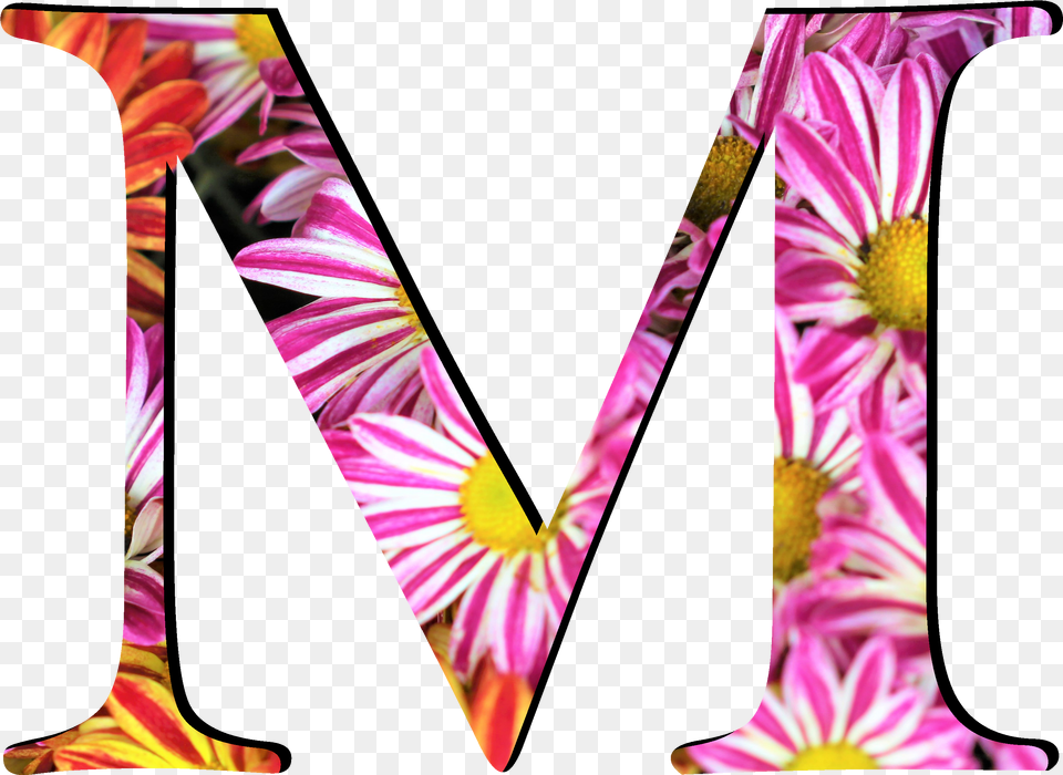 Flower Pattern Letters M Clip Art, People, Shoe, Shorts, Footwear Png
