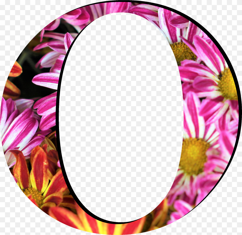 Flower Pattern Letters O Letters Flower Png