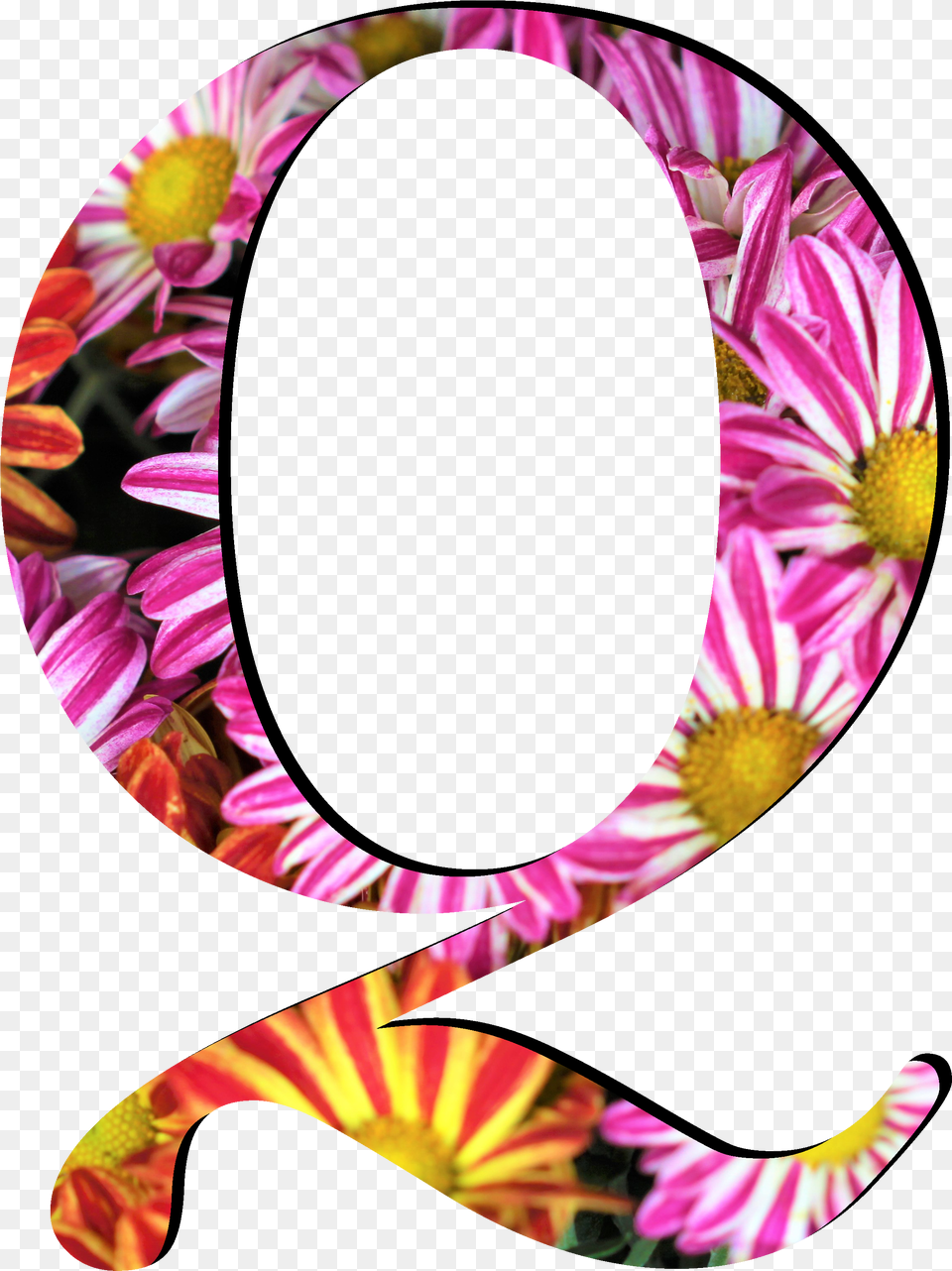 Flower Pattern Letters Q Flower Patterns Letter F, Flower Arrangement, Plant, Flower Bouquet, Animal Png