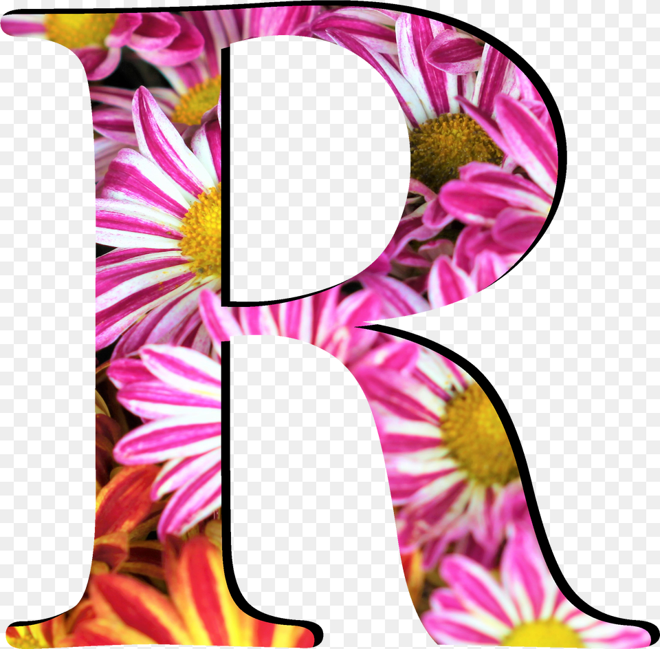 Flower Pattern Letters R Letter R Design Png