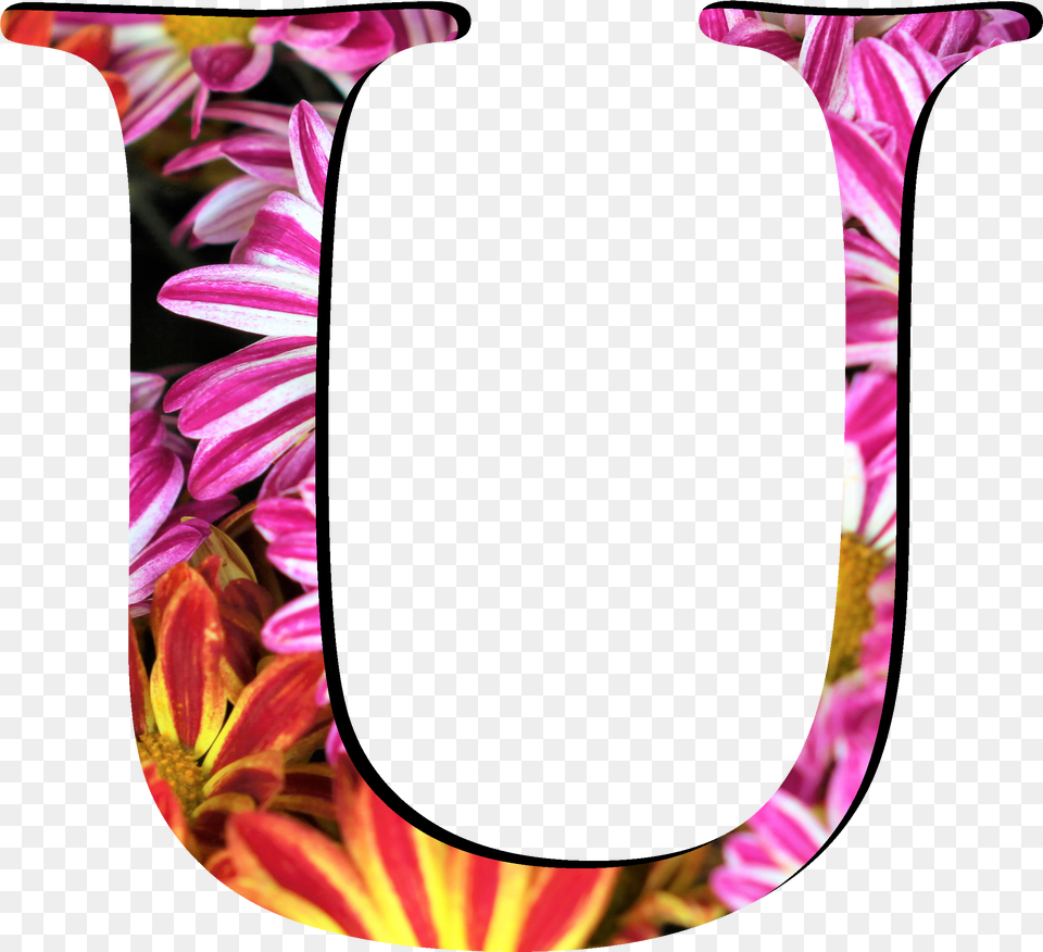 Flower Pattern Letters U Vase, Plant, Petal, Jar, Person Free Png Download
