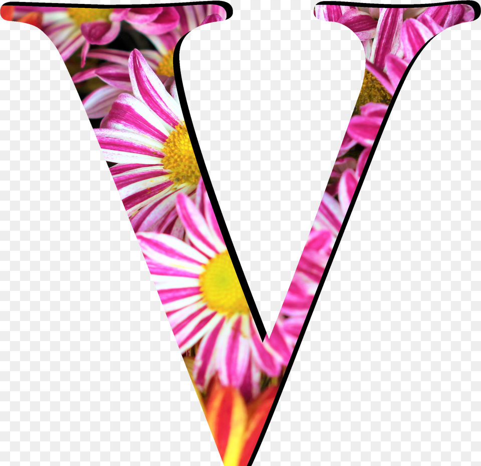 Flower Pattern Letters V Flower Pattern Letter St, Petal, Plant, Daisy, Adult Free Transparent Png