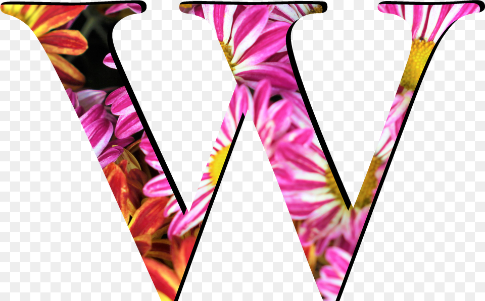 Flower Pattern Letters W Thong, Graphics, Purple, Art, Person Free Transparent Png