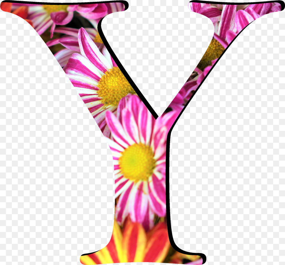 Flower Pattern Letters Y File Letter Y, Jar, Plant, Vase, Pottery Png