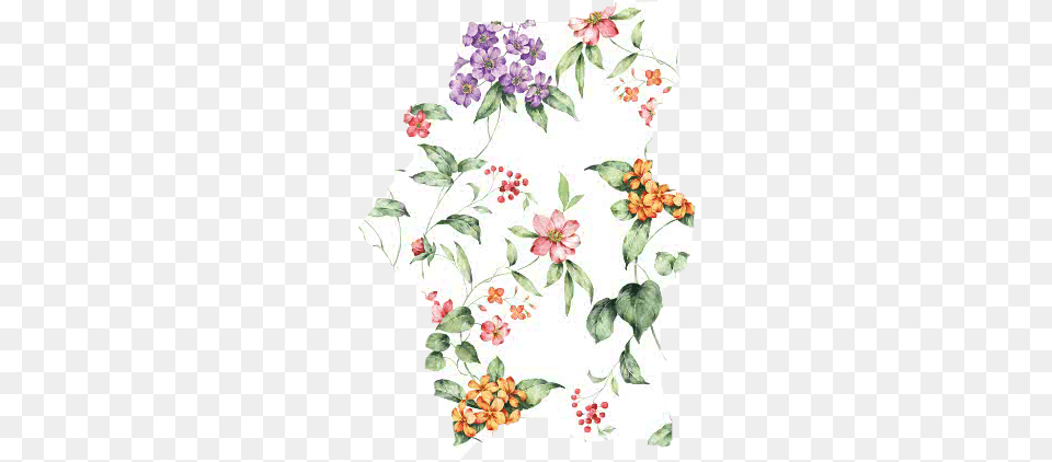 Flower Pattern Ripped, Art, Floral Design, Graphics, Plant Free Png Download