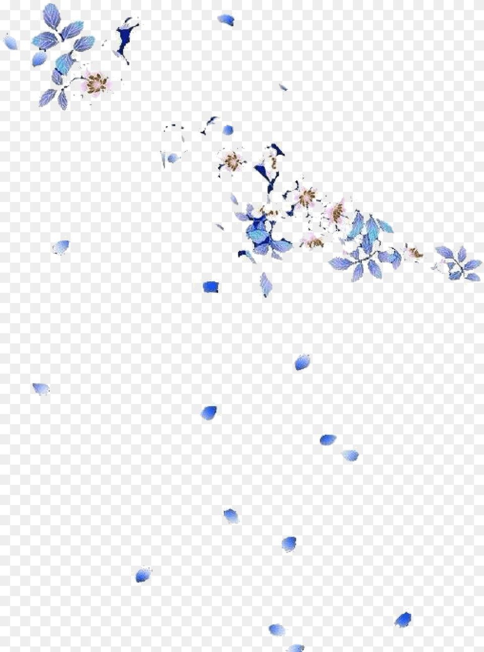 Flower Petal, Plant, Paper, Confetti, Outdoors Free Png Download