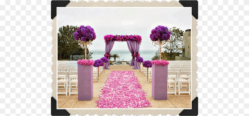 Flower Petal Aisle Runner For Wedding, Flower Arrangement, Indoors, Plant, Purple Free Png
