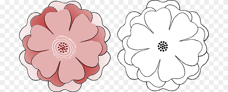 Flower Petal Cut Out Big Flower Pattern, Anemone, Plant, Dahlia, Daisy Png Image