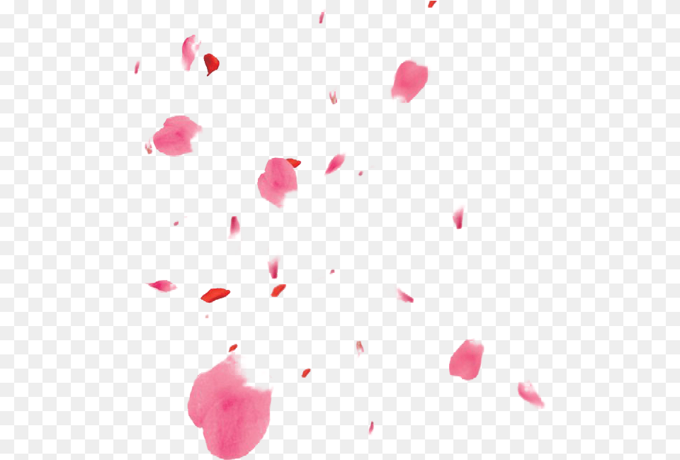 Flower Petals File Cherry Blossom Petals, Petal, Plant, Baby, Person Free Png Download