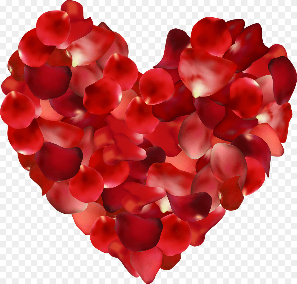 Flower Petals Files Transparent Background Rose Petal Heart Free Png