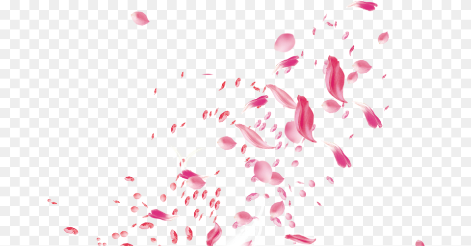 Flower Petals For Wedding Rose Petals Falling Transparent, Petal, Plant, Art, Graphics Free Png Download