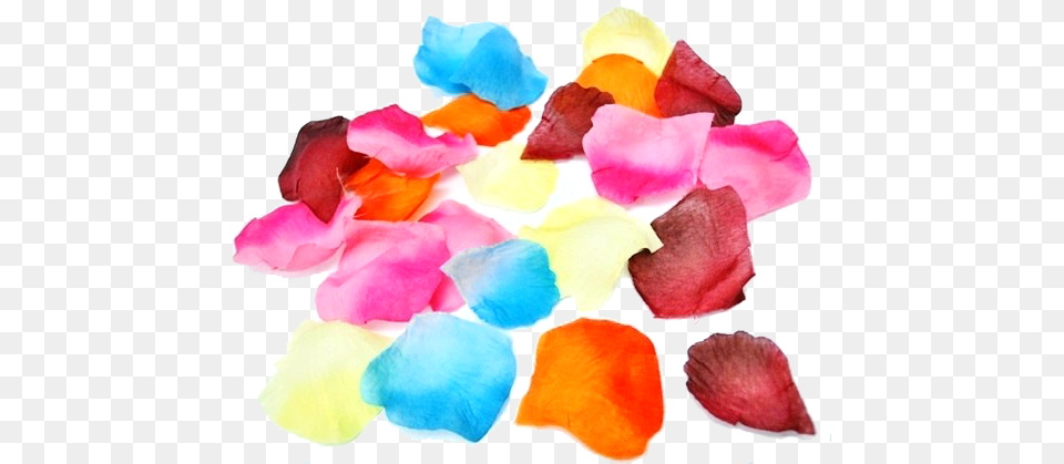 Flower Petals Watercolor Paint, Petal, Plant Free Png Download