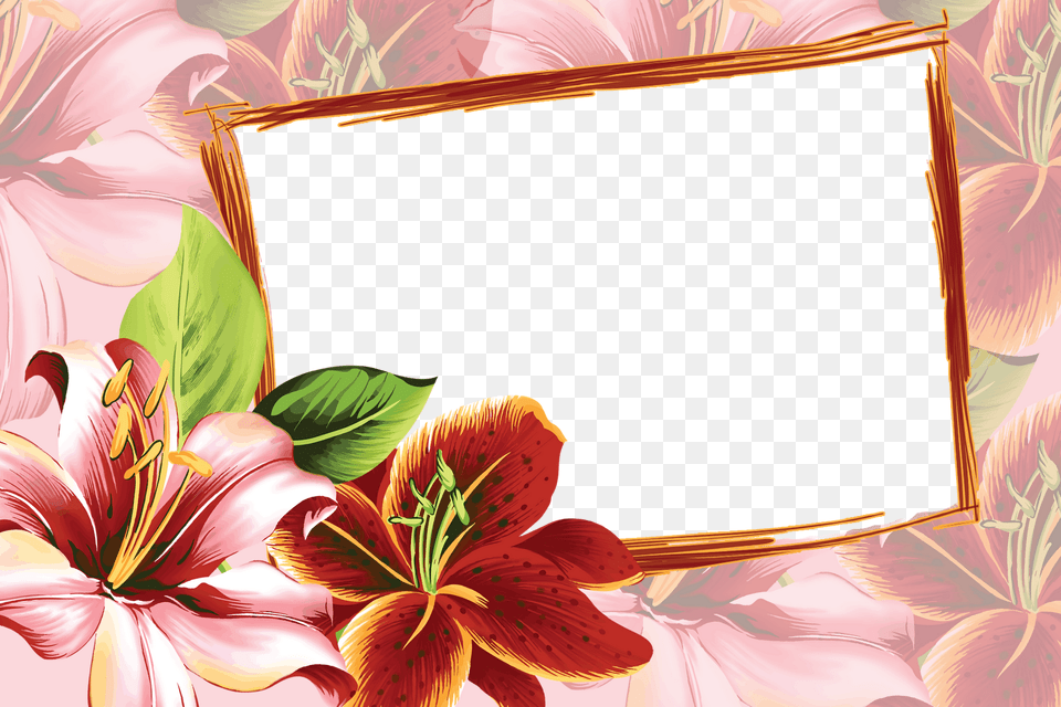 Flower Photo Frame Design, Plant, Petal Png Image