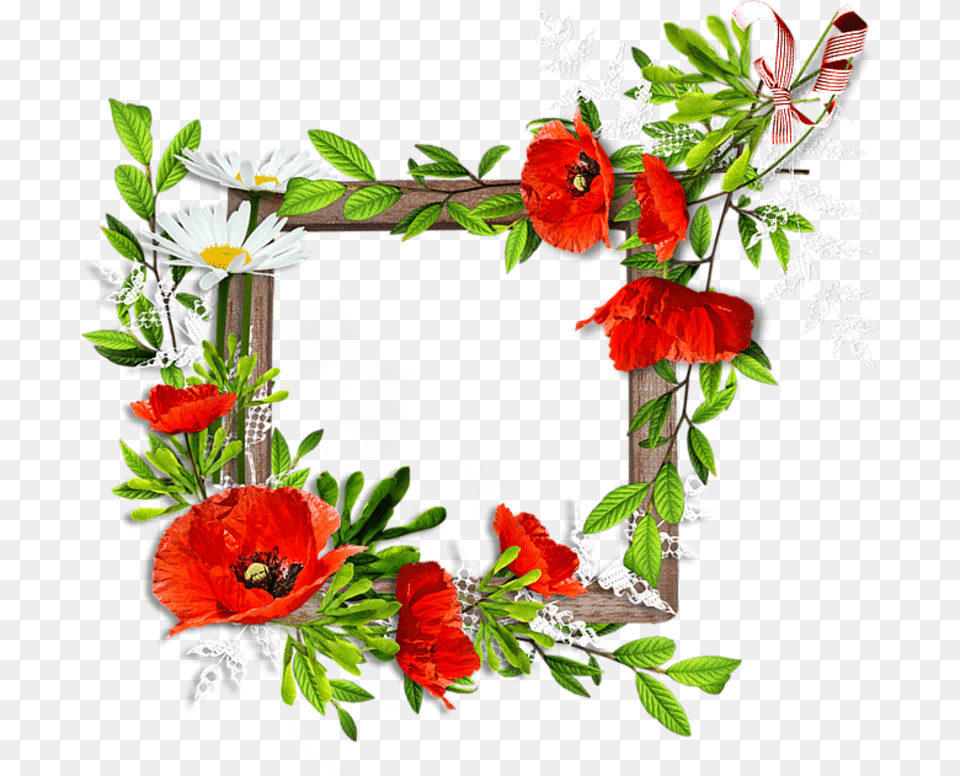 Flower Photo Frames Online, Anemone, Plant, Petal, Rose Png