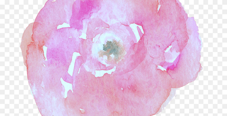Flower Photographer Watercolor Painting Wedding Watercolor Watercolor Painting, Petal, Plant, Rose, Baby Free Png