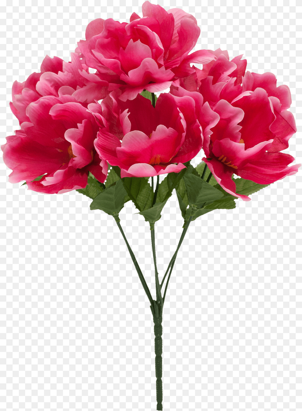 Flower Pick, Geranium, Plant, Flower Arrangement, Flower Bouquet Free Transparent Png