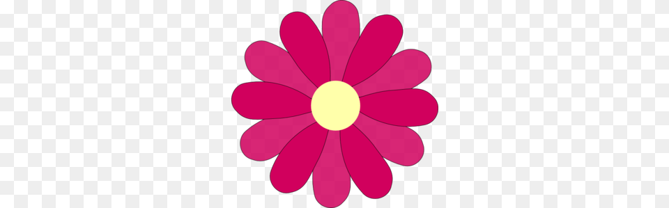 Flower Pink Clip Art, Daisy, Petal, Plant, Chandelier Free Png Download