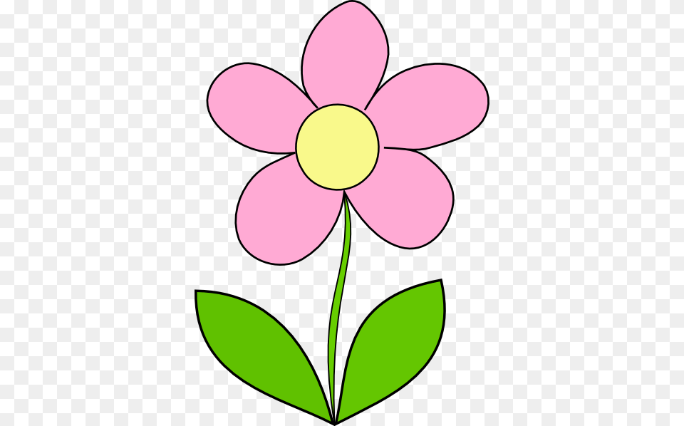 Flower Pink Clip Art, Anemone, Daisy, Petal, Plant Png