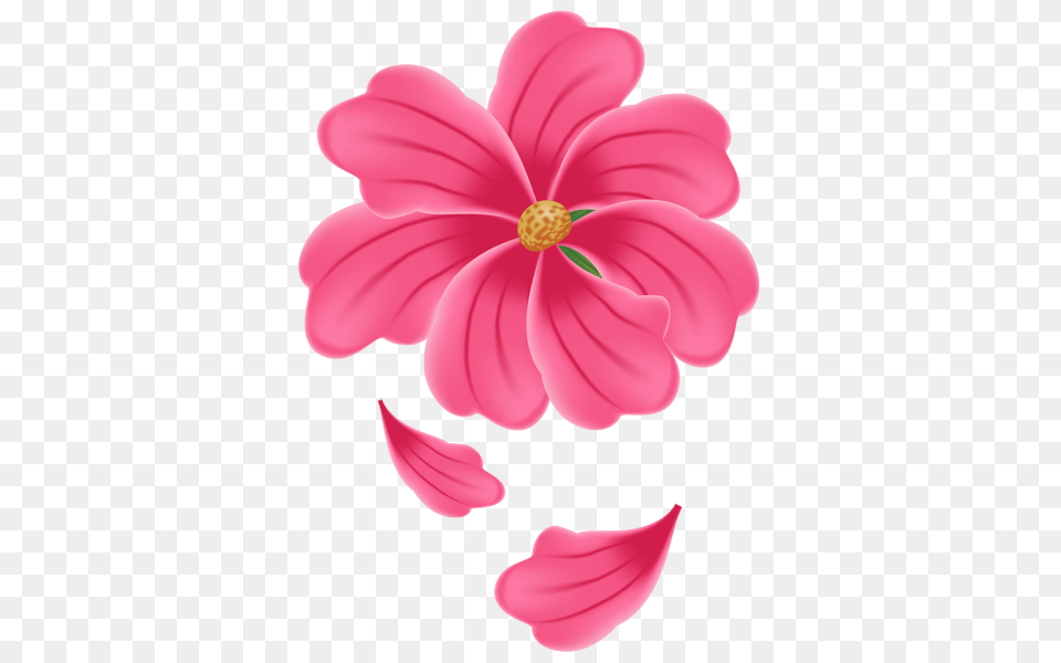 Flower Pink Clipart Image Aa Flores, Anther, Geranium, Petal, Plant Free Png