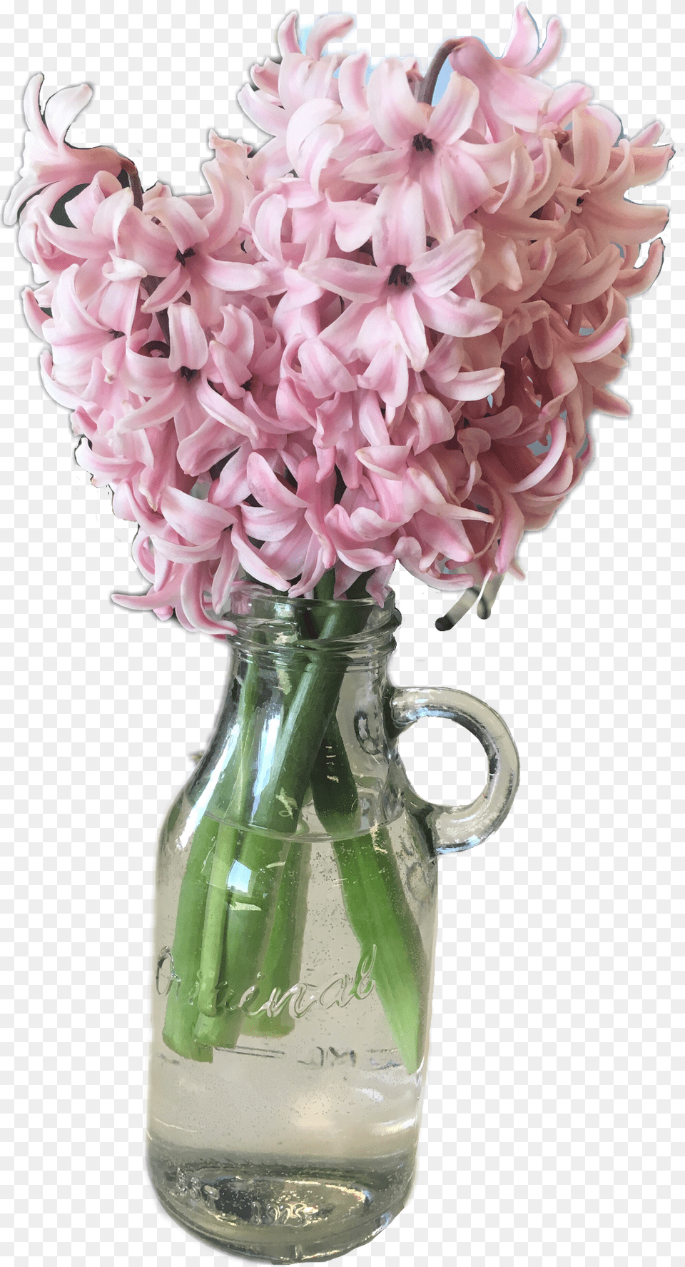 Flower Pink Hyacinth Ftestickers Spring April Hyacinth, Flower Arrangement, Flower Bouquet, Jar, Plant Free Transparent Png