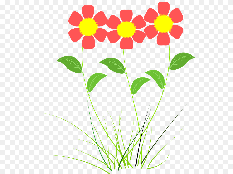 Flower Pink Plant Vector Drawing Planta Con Flor Dibujo, Art, Daisy, Floral Design, Graphics Png Image