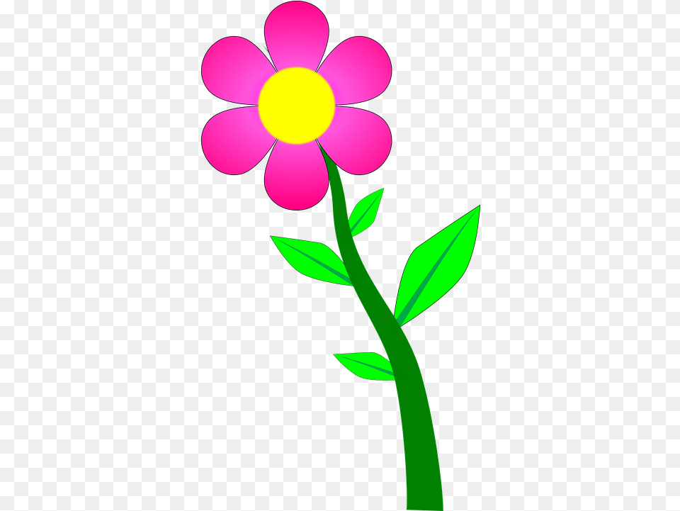Flower Plant Blossom Vector Graphic On Pixabay Imagen Animada De Flor, Daisy, Petal, Anemone Free Transparent Png