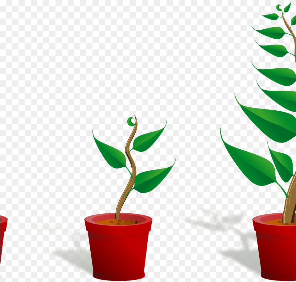 Flower Plant Clipart Plant 2 Growing 4444pxpng Cute Getting To Know Plants, Leaf, Potted Plant, Tree Png