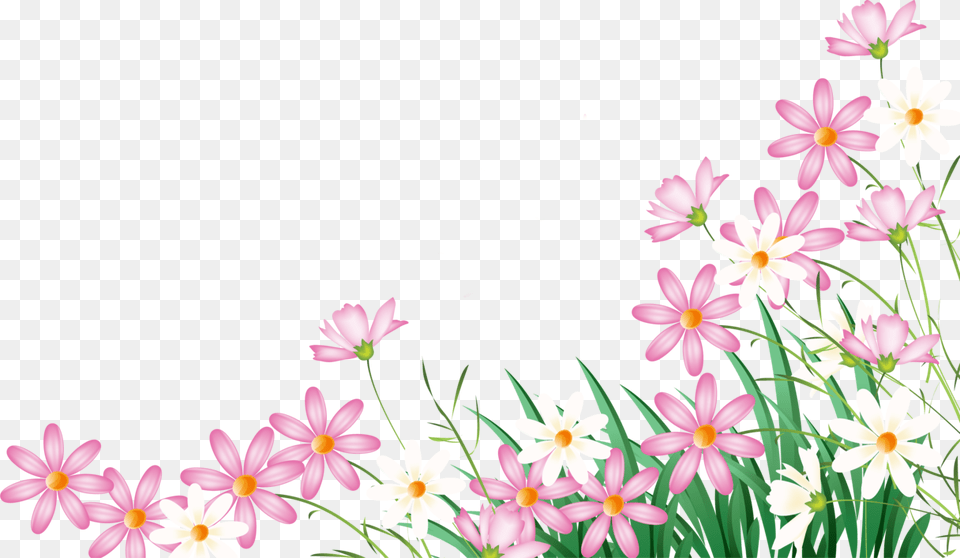 Flower Plant Garden Field Nature Foreground Background Flower Foreground, Daisy, Petal, Pollen, Anther Free Transparent Png
