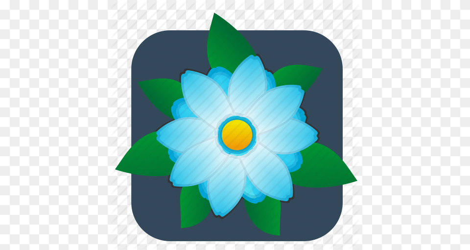 Flower Plant Top Icon, Anemone, Daisy, Petal Free Png Download