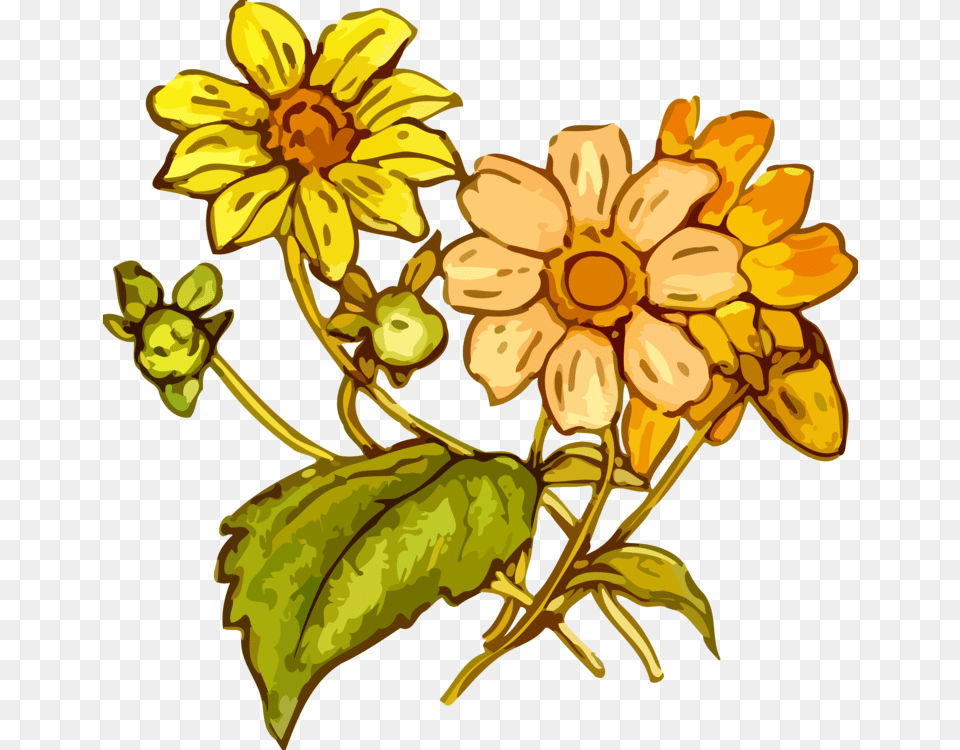 Flower Plants Clipart, Plant, Daisy, Art, Floral Design Png Image